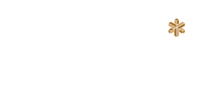 Your Corp